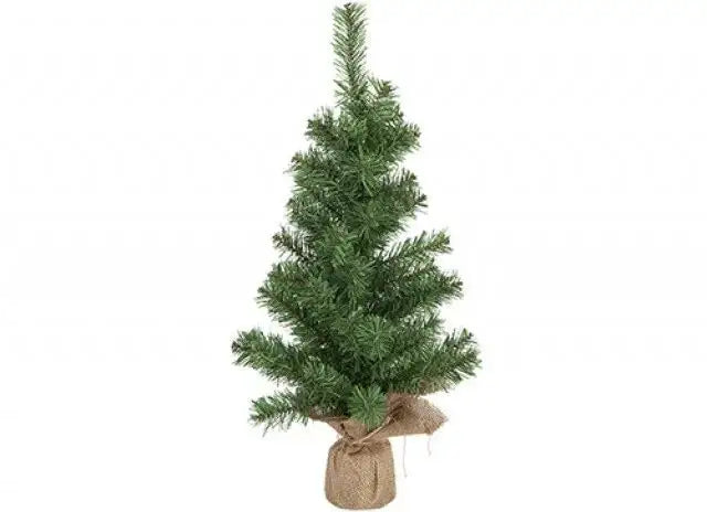 Norway Pine Tree (60cm)