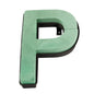 Oasis Letter P Naylorbase Frame - Black Base