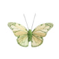 8cm Green Feather &amp; Glitter Butterfly (Pack of 12)