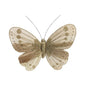 11.5cm Classic Gold Feather &amp; Glitter Butterfly (Pack of 12)