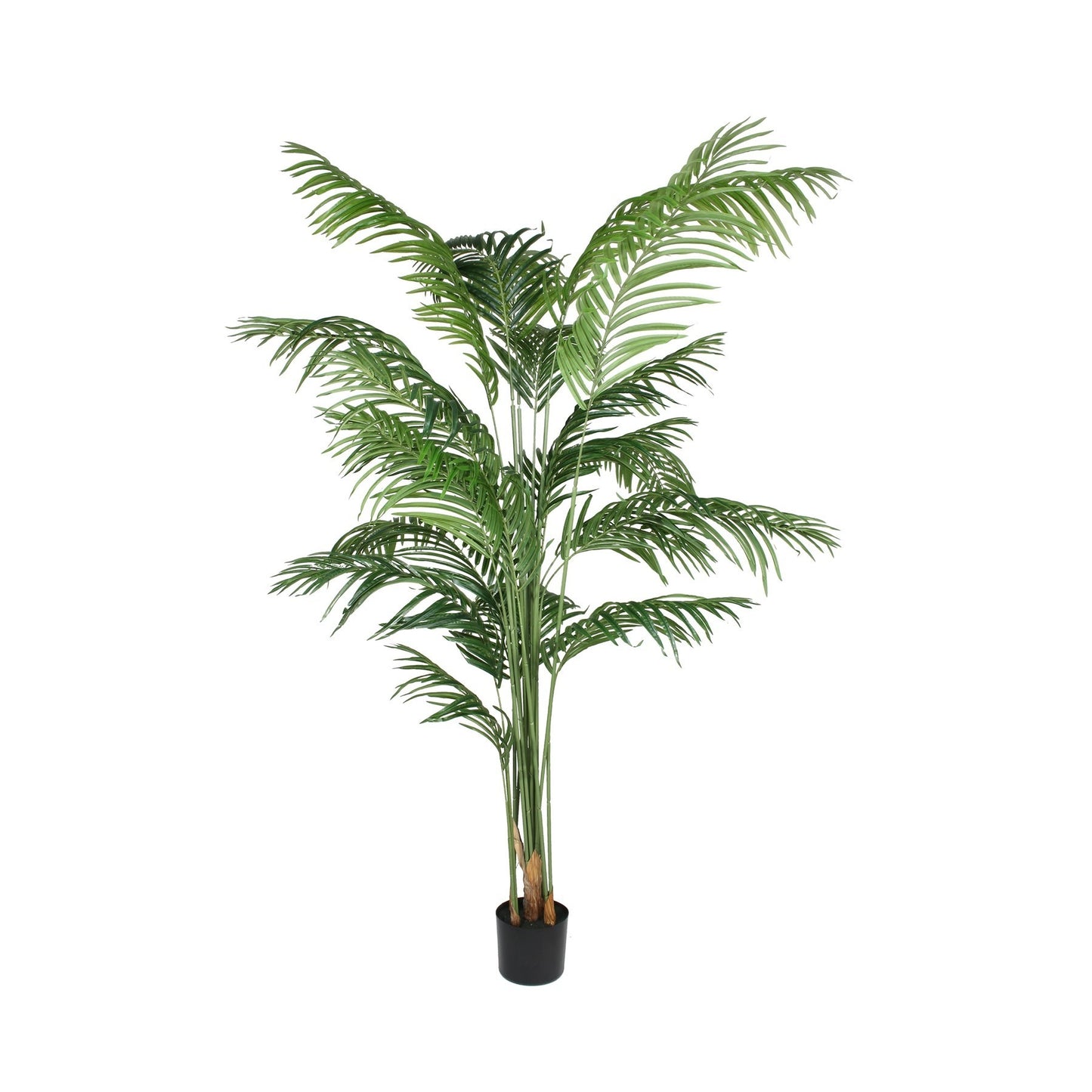 Artificial Kentia Palm in Pot