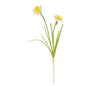 Monet Daffodil Yellow/White 58cm
