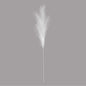 Luxury Pampas Arctic White