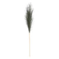 Luxury Pampas Fern Green