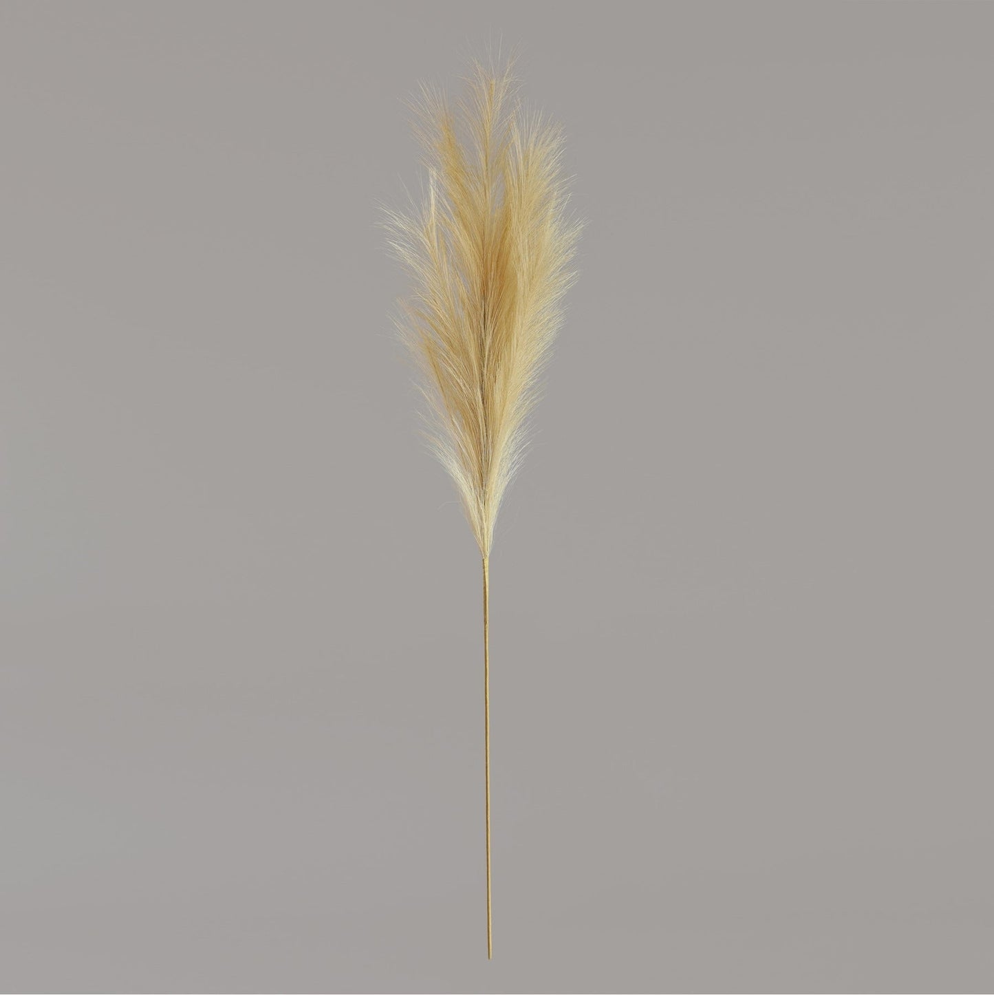 Luxury Pampas Buttermilk