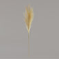 Luxury Pampas Buttermilk