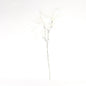 White Willow Spray