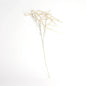 Champagne Willow Spray