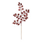 Burgundy Glitter Eucalyptus Stem (H61cm)