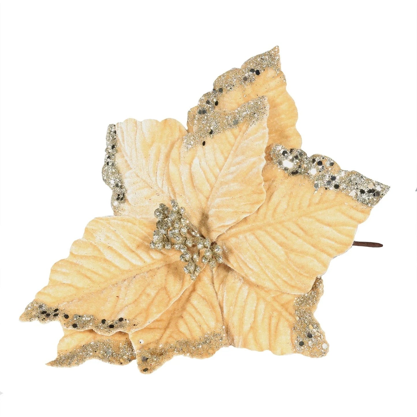 Champagne Velvet Poinsettia with Glitter Edge (Dia24cm)