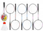 Badminton Set (Assorted)