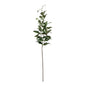 Tradaescantia Spray (74cm)