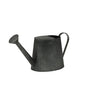 Black metal watering can with handle and spout, home decor or garden accessory