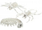 Assorted Skeleton Animals