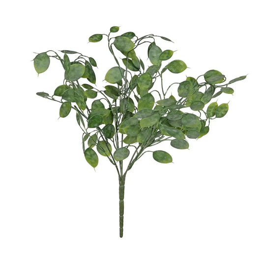 Botanica Honesty Leaf Bush (43cm)