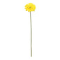 Yellow Gerbera Stem (72cm)
