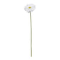 Single White Gerbera (72cm)