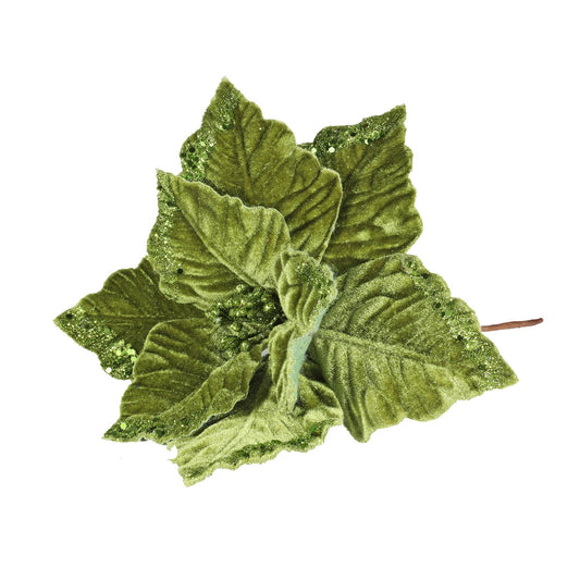 Discover the Green Velvet Poinsettia with Glitter Edge (Dia24cm) at Bristow Direct