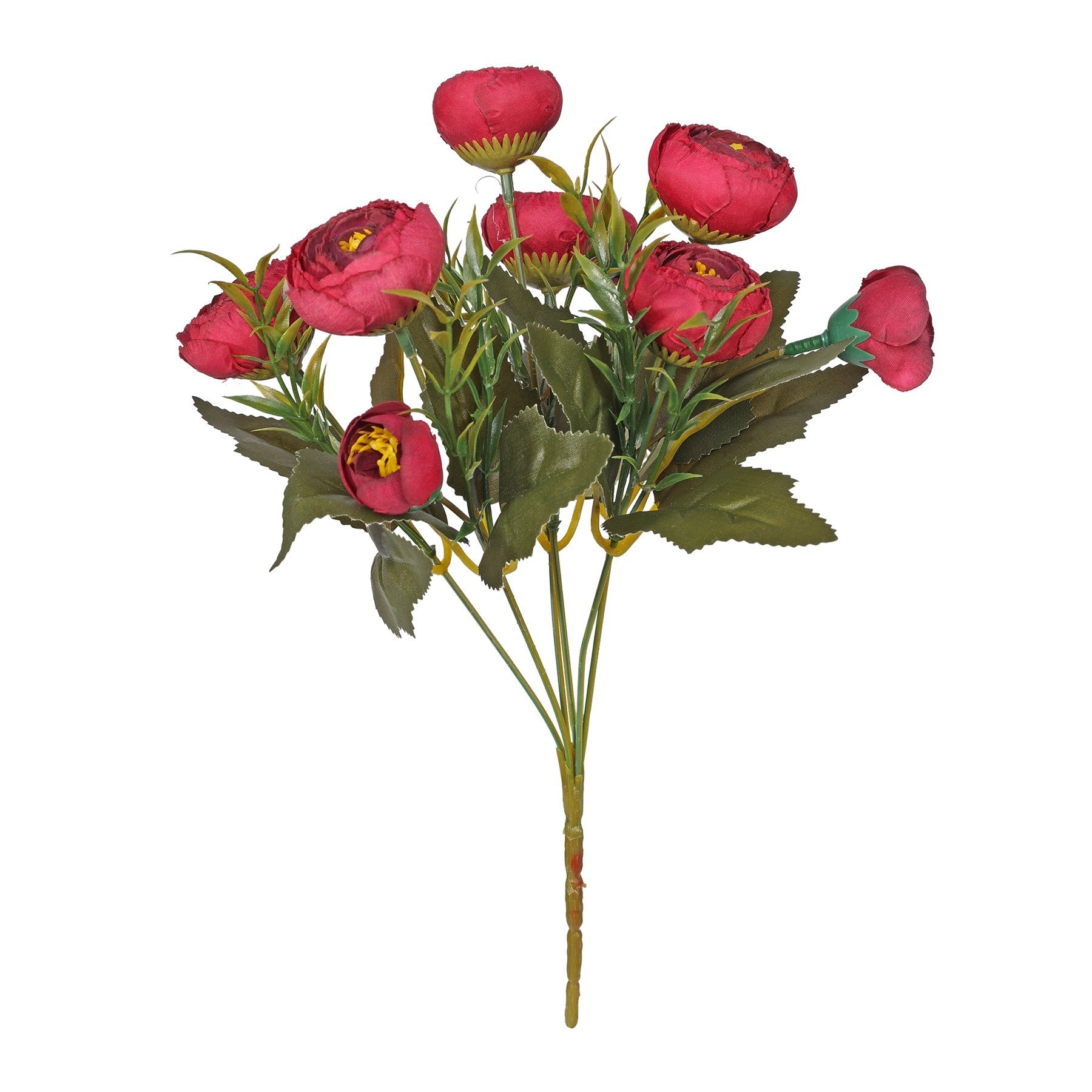 Discover the Essential Burgundy Ranunculus Bush at Bristow Direct