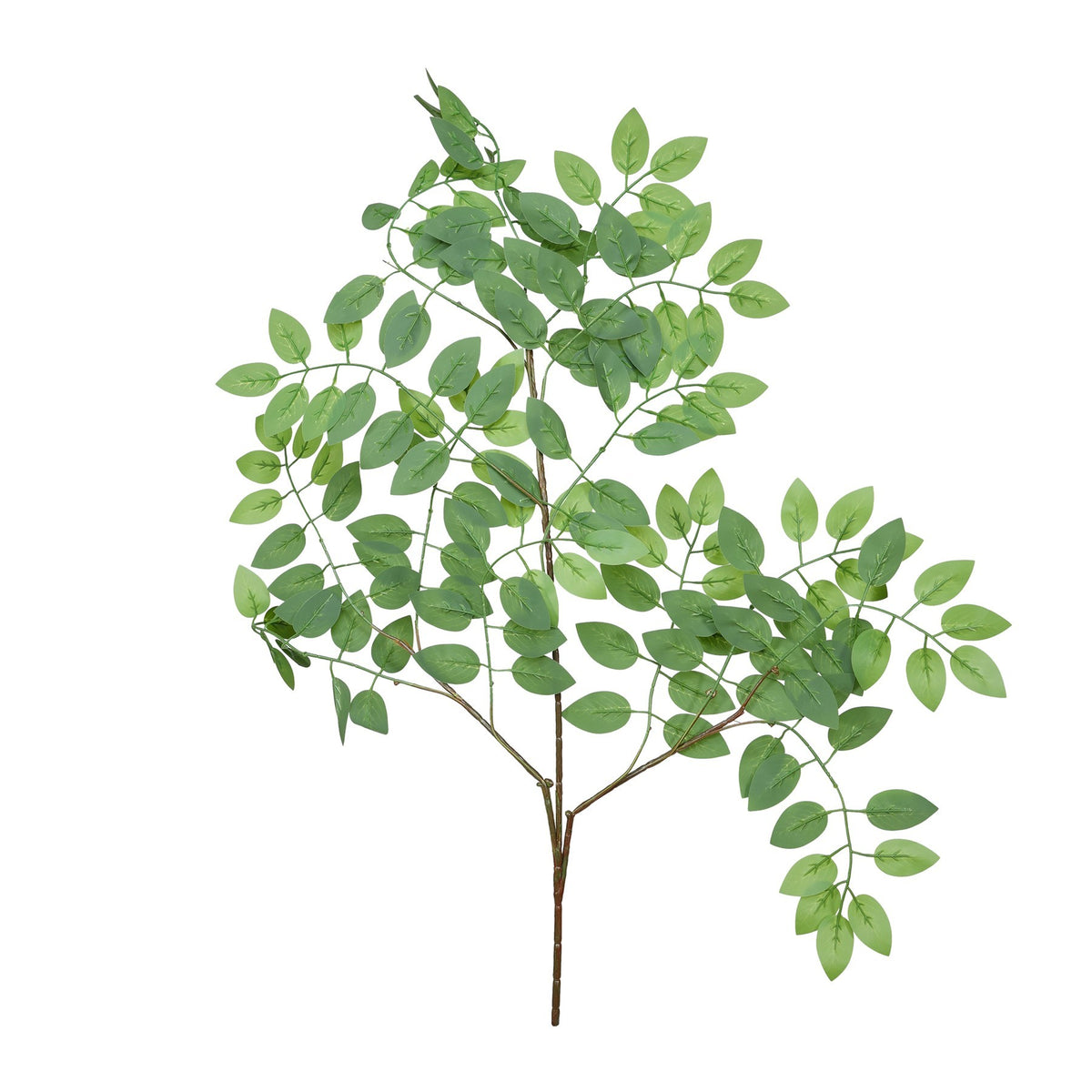 Discover the Essential Green Wisteria Leaves  at Bristow Direct