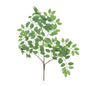 Discover the Essential Green Wisteria Leaves  at Bristow Direct