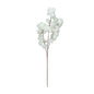 Essential White Cherry Blossom