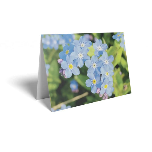 Forget Me Not Folded Card with Care Info (pack of 25)