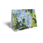 Forget Me Not Folded Card with Care Info (pack of 25)