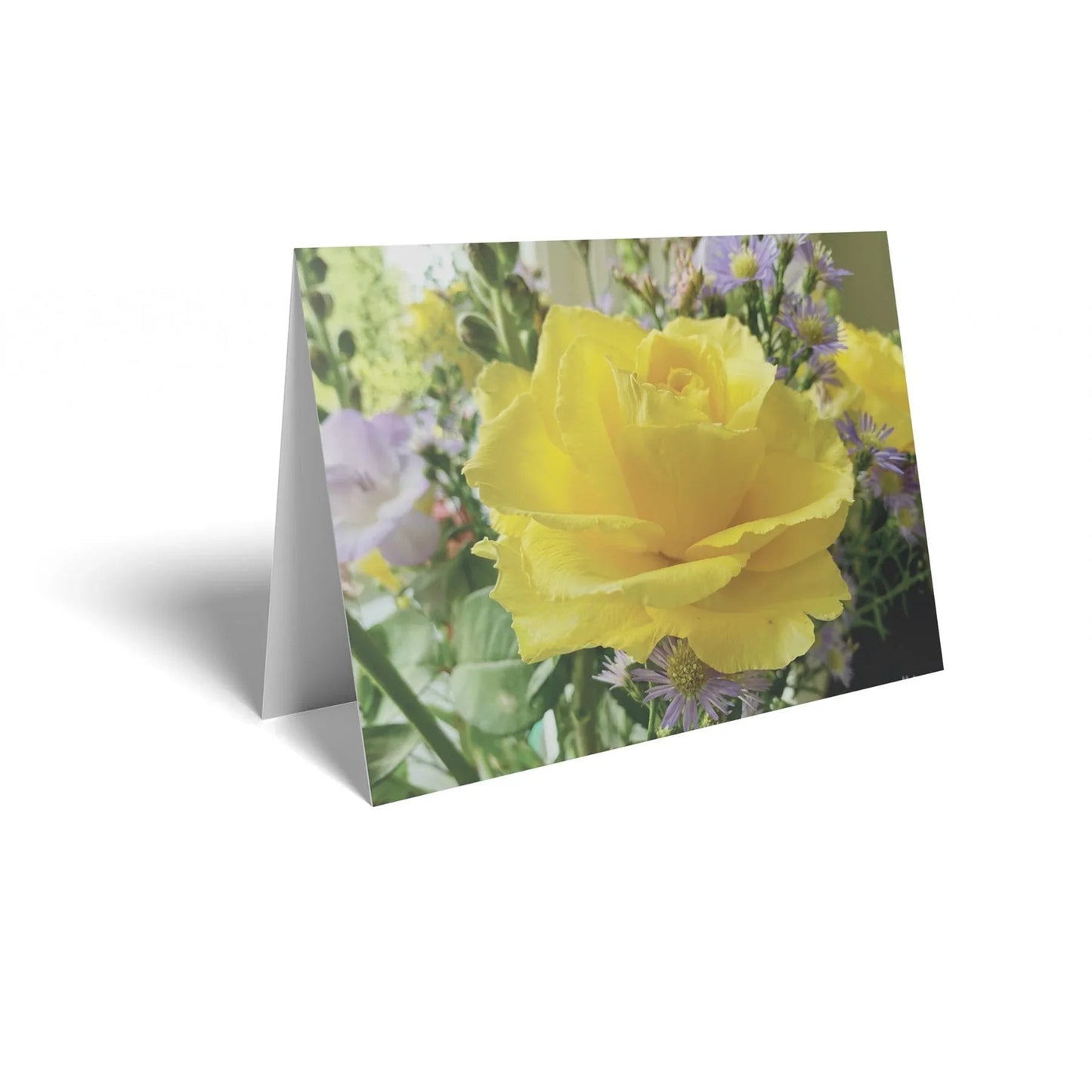 Yellow Rose Folded Card with Care Info  (pack of 25)