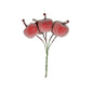 Frosted Apple Bunch (Red)