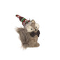 Fox With Hat