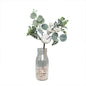 Eucalyptus White Berry  Apple Spray