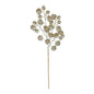 Gold Glitter Eucalpyus spray