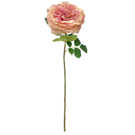 Discover the Balmoral Wild Pink Rose (65cm) at Bristow Direct