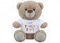 Best Teacher Bear (8 Inch)