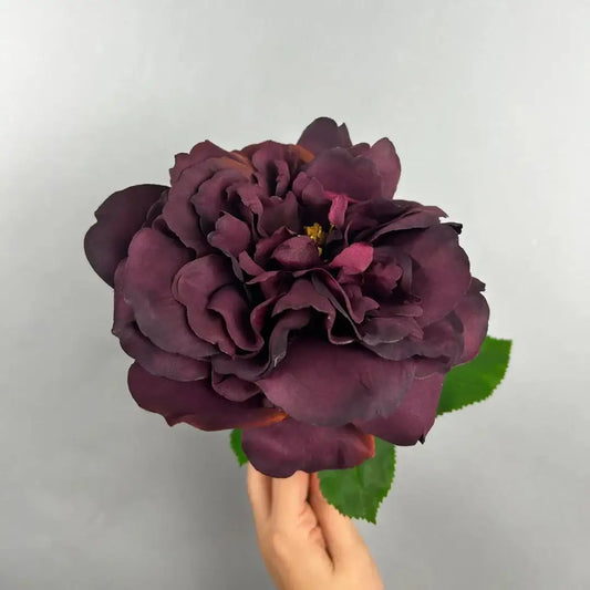 Balmoral Wild Rose Burgundy (65cm)