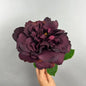 Balmoral Wild Rose Burgundy (65cm)