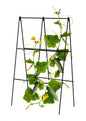 Folding A-Frame Cucumber Trellis
