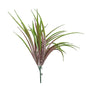 Purple Hardy Grass (30cm)