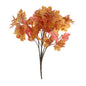 Discover the Essential Autumn Maple Bush - Orange at Bristow Direct