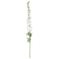 Botanica Giant White Delphinium (137cm)