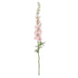 Botanica Giant Pink Delphinium (137cm)
