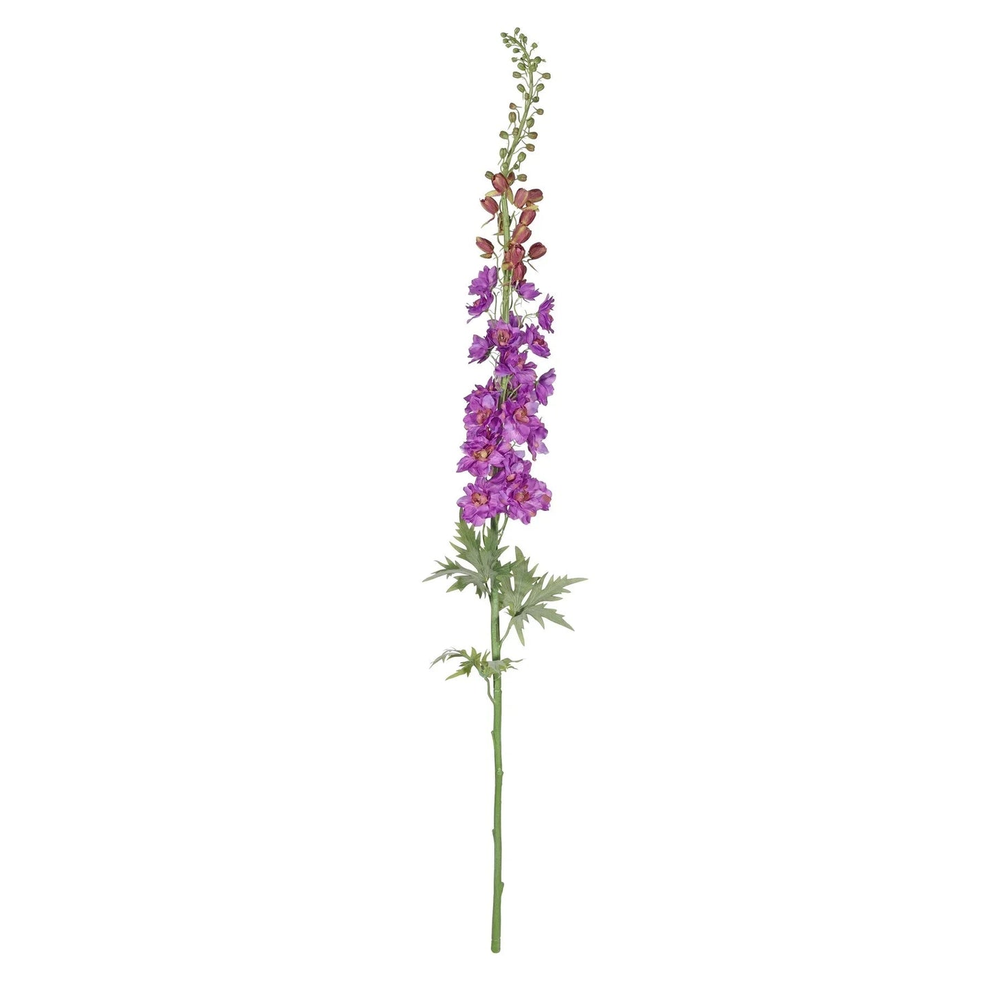 Botanica Giant Violet Delphinium (137cm)