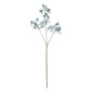 Botanica Blue Sweetpea