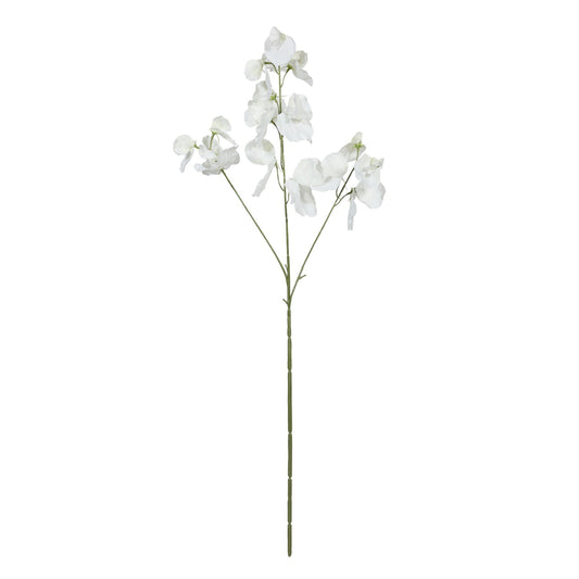 Botanica White Sweetpea