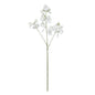 Botanica White Sweetpea