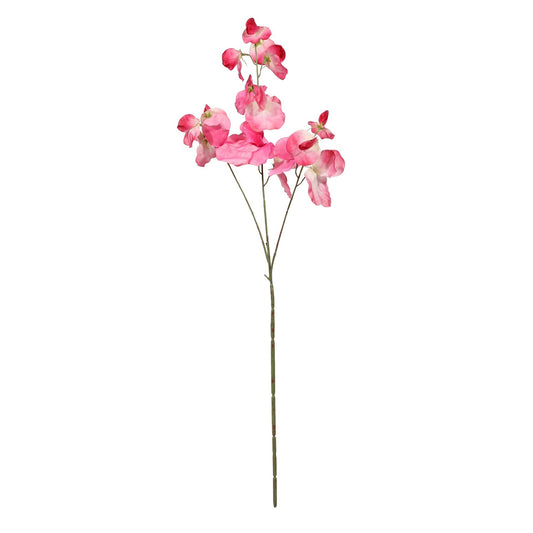 Botanica Pink Sweetpea