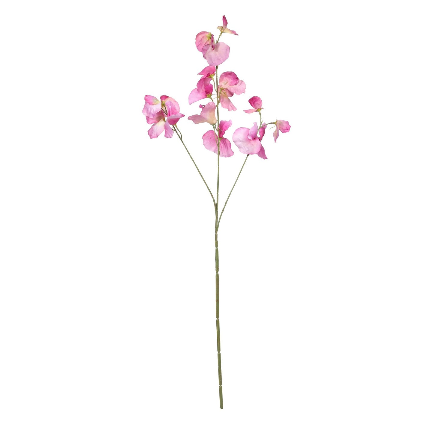 Botanica Violet Sweetpea