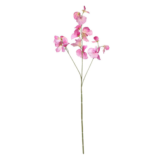 Botanica Violet Sweetpea