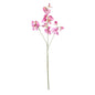 Botanica Violet Sweetpea